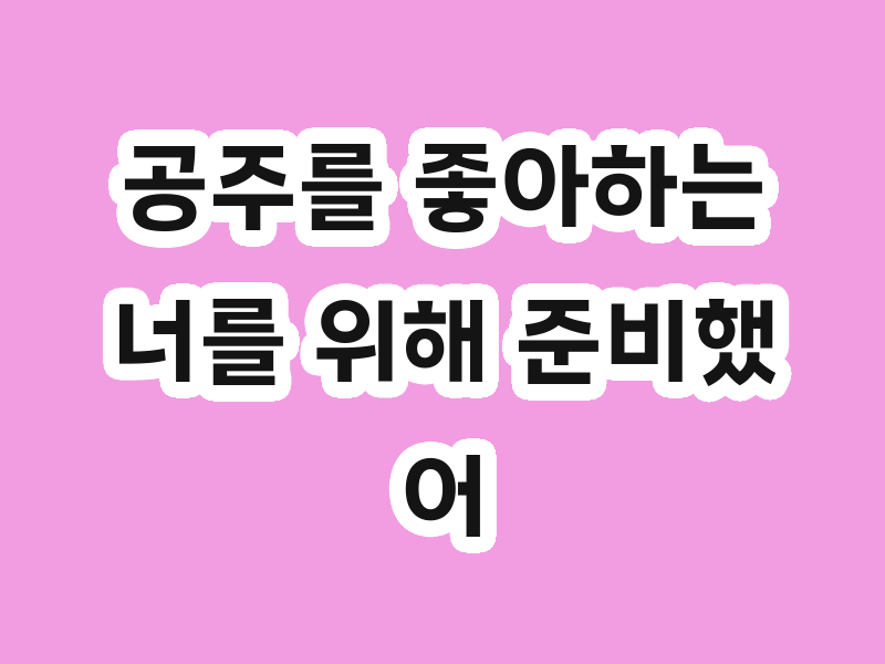 공주를 좋아하는 너를 위해 준비했어~